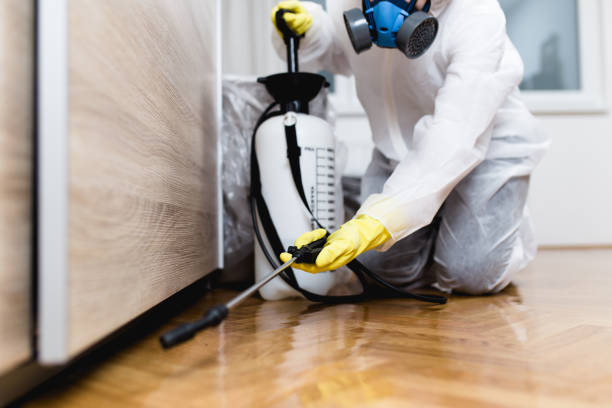 Best Ant Control Services  in Conroe, TX