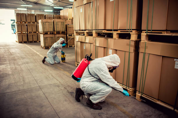 Best Wasp Removal Services  in Conroe, TX