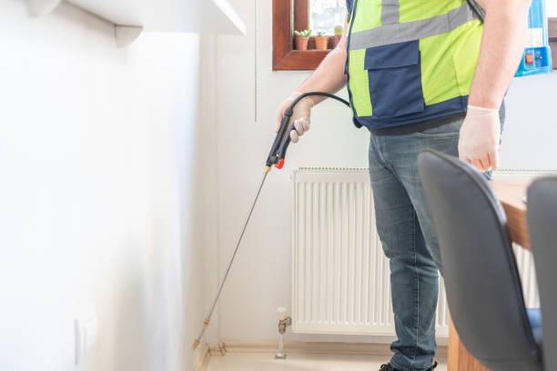 Best Ant Control Services  in Conroe, TX