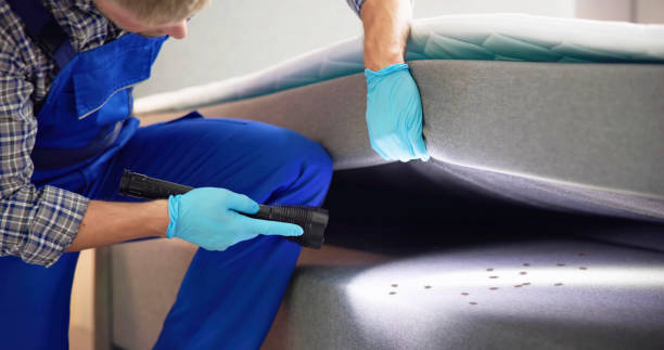 Pest Prevention Services in Conroe, TX