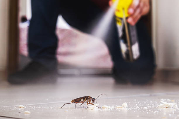 Best Wildlife Control Services  in Conroe, TX
