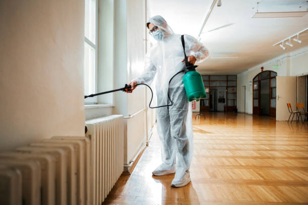 Best Residential Pest Control  in Conroe, TX