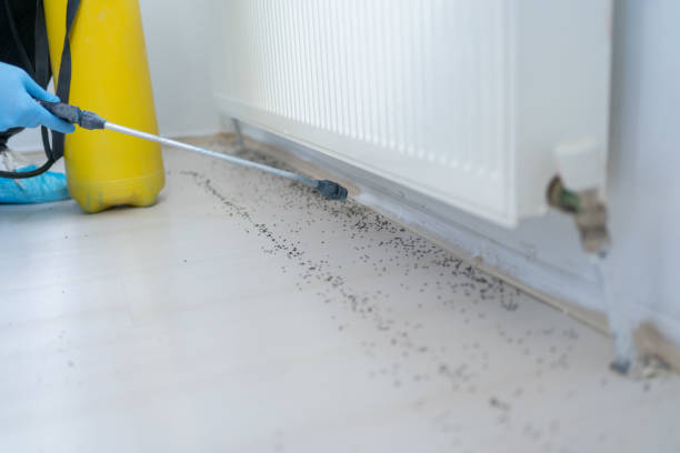 Conroe, TX Pest Control Company