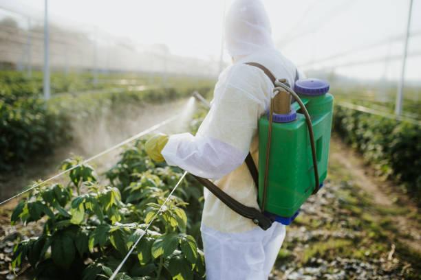Conroe, TX Pest Control Company
